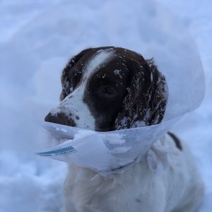 Meet your Posher, Zwei